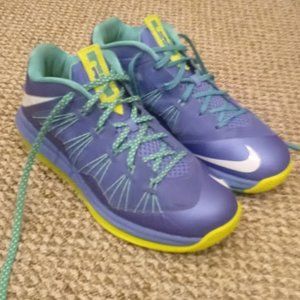 Lebron 10 X low Sprite